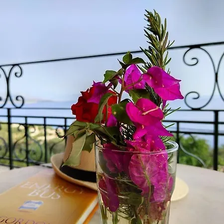 Agnos Villa *